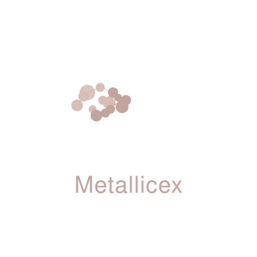 Logo Metallicex